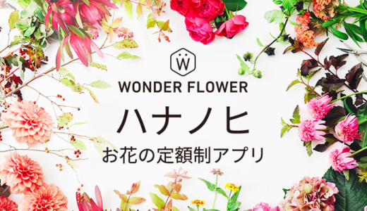 お花の定額制アプリ WONDER FLOWER